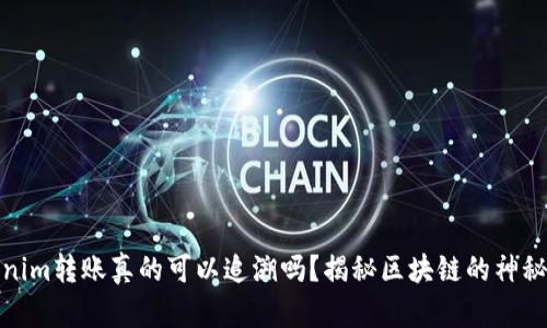 Tokenim转账真的可以追溯吗？揭秘区块链的神秘面纱