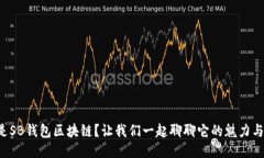 什么是SB钱包区块链？让我们一起聊聊它的魅力与