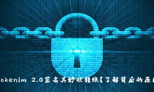 为什么我的Tokenim 2.0莫名其妙被转账？了解背后的原因和解决方法