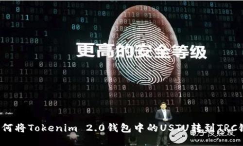 如何将Tokenim 2.0钱包中的USTU转到TRC链？