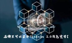 在哪里可以获取Tokenim 2.0钱包宽带？