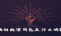 你知道美国区块链数字钱包是什么吗？一起来聊