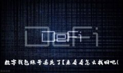 数字钱包账号丢失了？来看看怎么找回吧！