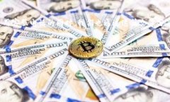 bianqi/bianqitp数字钱包, 客服联系方式, 在线客服