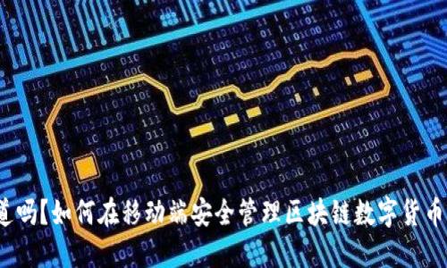 你知道吗？如何在移动端安全管理区块链数字货币钱包？