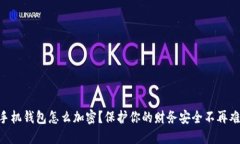 手机钱包怎么加密？保护你的财务安全不再难！