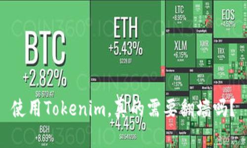 使用Tokenim，真的需要翻墙吗？