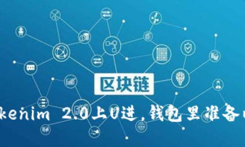 想要在Tokenim 2.0上U进，钱包里准备以太坊吗？