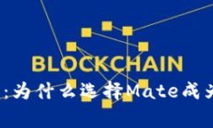 数字钱包的未来：为什么选择Mate成为你的财富管