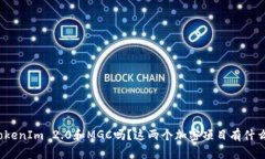 你听说过TokenIm 2.0和MGC吗？这两个加密项目有什么
