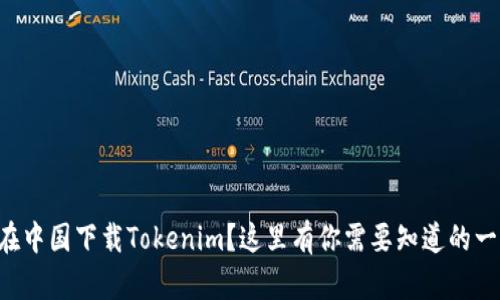 想在中国下载Tokenim？这里有你需要知道的一切！