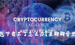 德国硬件加密钱包下载不了怎么办？来聊聊常见