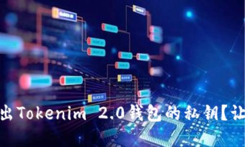 quête如何轻松导出Tokenim 2.0钱包的私钥？让我们一起来看看吧！