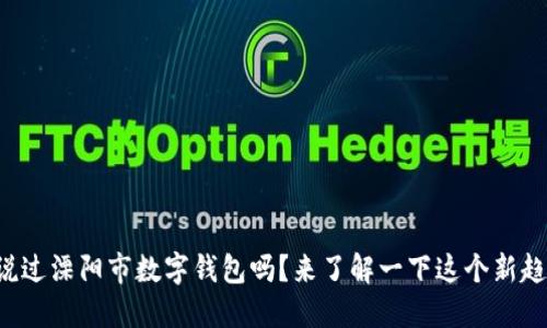 你听说过溧阳市数字钱包吗？来了解一下这个新趋势吧！