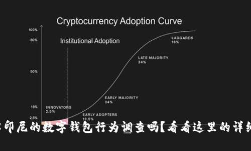 你了解印尼的数字钱包行为调查吗？看看这里的详细分析！