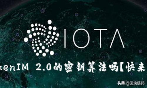 你知道TokenIM 2.0的密钥算法吗？快来了解下吧！