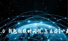 Tokenim 2.0 钱包到账时间慢，怎么办？一起来探讨