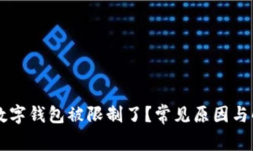 为什么我的数字钱包被限制了？常见原因与解决方案一览