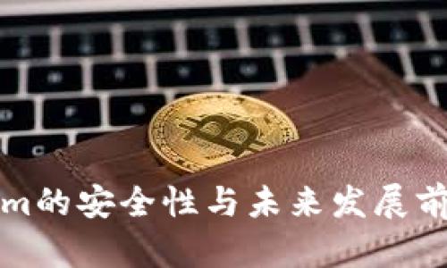 Tokenim的安全性与未来发展前景分析