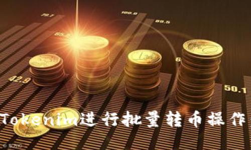 如何使用Tokenim进行批量转币操作：详尽指南
