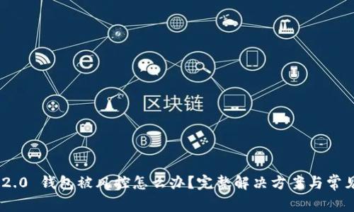 Tokenim 2.0 钱包被风控怎么办？完整解决方案与常见问题解析