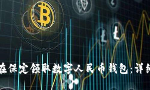 如何在保定领取数字人民币钱包：详细指南