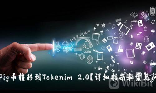 如何将Pig币转移到Tokenim 2.0？详细指南和常见问题解答