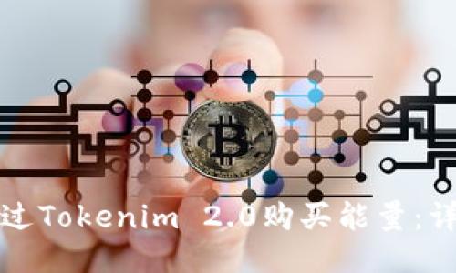 如何通过Tokenim 2.0购买能量：详细指南