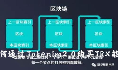 bishuang如何通过Tokenim2.0购买TRX能量：全面指南
