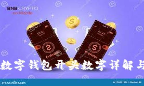 兴业银行数字钱包开头数字详解与使用指南