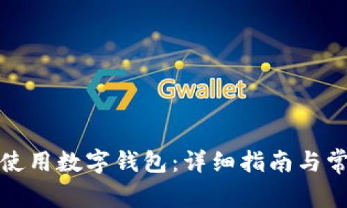 如何下载和使用数字钱包：详细指南与常见问题解答