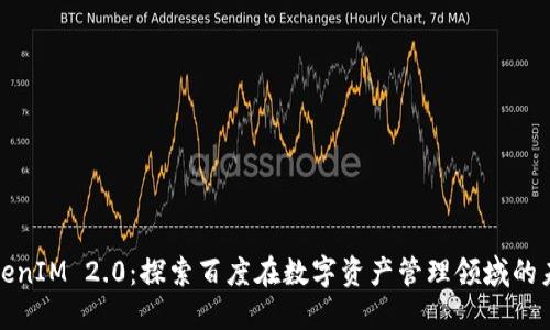 TokenIM 2.0：探索百度在数字资产管理领域的未来