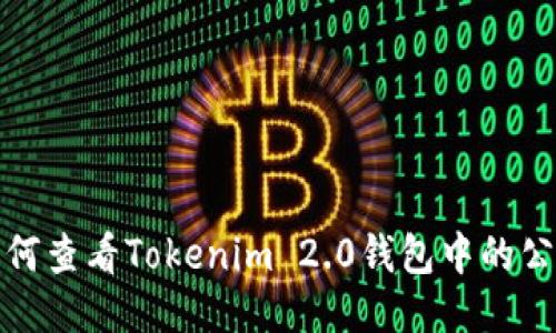 如何查看Tokenim 2.0钱包中的公钥