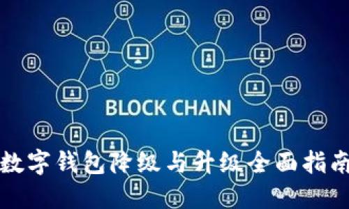 数字钱包降级与升级全面指南