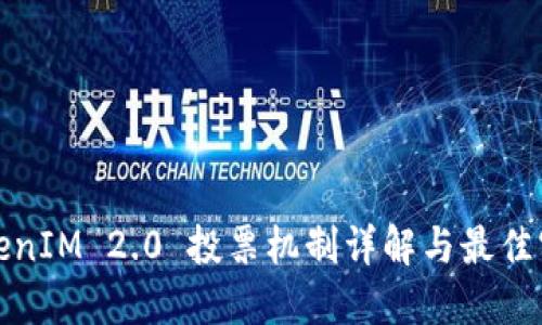 TokenIM 2.0 投票机制详解与最佳实践