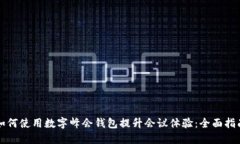 如何使用数字峰会钱包提