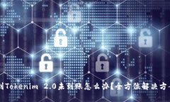 转币到Tokenim 2.0未到账怎么