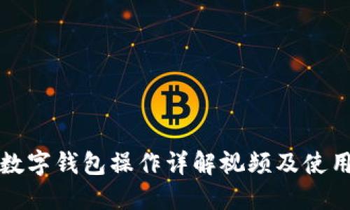 建行数字钱包操作详解视频及使用指南