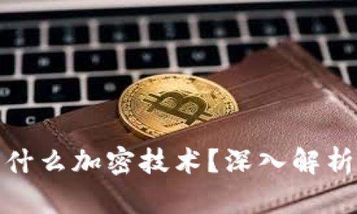 数字钱包依靠什么加密技术？深入解析数字加密安全
