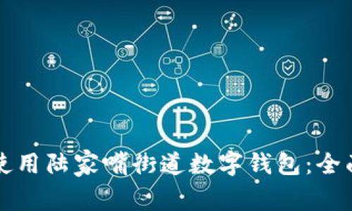 如何使用陆家嘴街道数字钱包：全面指南