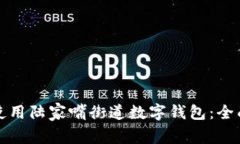 如何使用陆家嘴街道数字钱包：全面指南