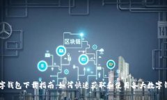 国际数字钱包下载指南：如何快速获取和使用各