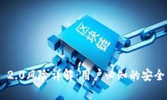 Tokenim 2.0风险详解：用户必